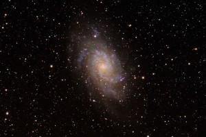 M33 